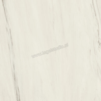  Atlas Concorde Marvel Dream Bianco Fantastico 120x120 cm Vloertegel / Wandtegel Mat Vlak Sensitech A203 | 418177