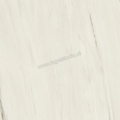  Atlas Concorde Marvel Dream Bianco Fantastico 120x120 cm Vloertegel / Wandtegel Mat Vlak Sensitech A203 | 418180