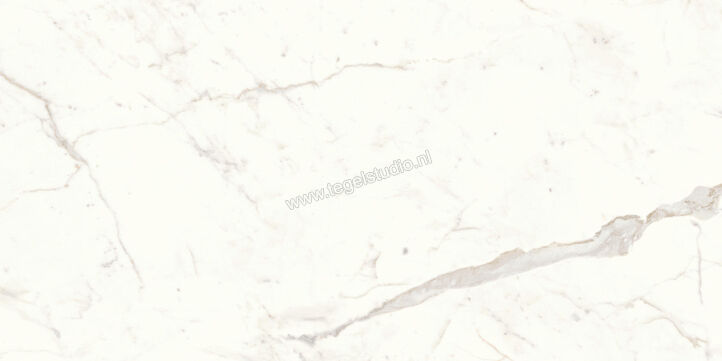  Atlas Concorde Marvel Shine Calacatta Prestigio 75x150 cm Vloertegel / Wandtegel Glanzend Vlak Lappato A7GB | 418861