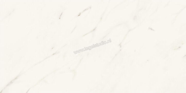  Atlas Concorde Marvel X Calacatta Sublime 30x60 cm Vloertegel / Wandtegel Mat Vlak Sensitech AFWE | 419116