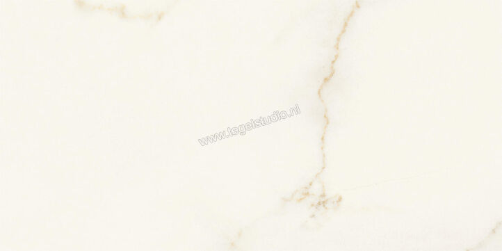 Atlas Concorde Marvel X Calacatta Apuano 30x60 cm Vloertegel / Wandtegel Glanzend Vlak Lappato AFV8 | 419134