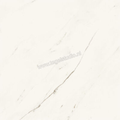  Atlas Concorde Marvel X Calacatta Sublime 60x60 cm Vloertegel / Wandtegel Mat Vlak Sensitech AFV4 | 419179