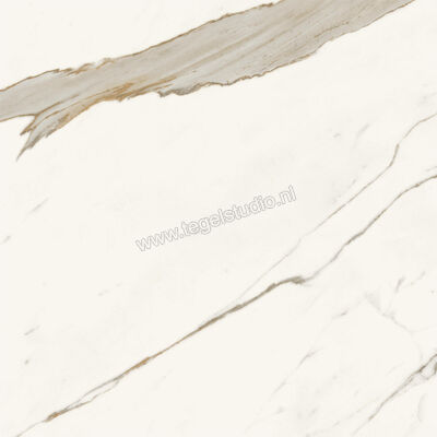  Atlas Concorde Marvel X Calacatta Sublime 60x60 cm Vloertegel / Wandtegel Mat Vlak Sensitech AFV4 | 419185