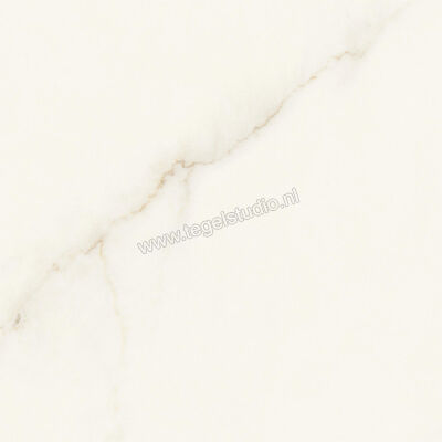  Atlas Concorde Marvel X Calacatta Apuano 60x60 cm Vloertegel / Wandtegel Glanzend Vlak Lappato AFVY | 419191