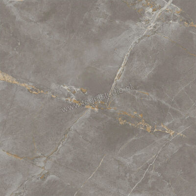  Atlas Concorde Marvel X Fior Di Bosco 60x60 cm Vloertegel / Wandtegel Glanzend Vlak Lappato AFV2 | 419200