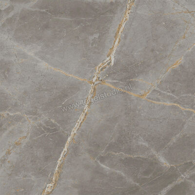  Atlas Concorde Marvel X Fior Di Bosco 60x60 cm Vloertegel / Wandtegel Mat Vlak Sensitech AFV7 | 419206