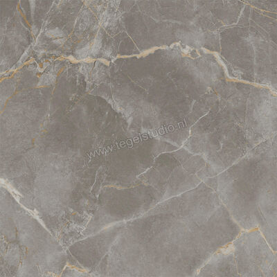  Atlas Concorde Marvel X Fior Di Bosco 60x60 cm Vloertegel / Wandtegel Mat Vlak Sensitech AFV7 | 419209