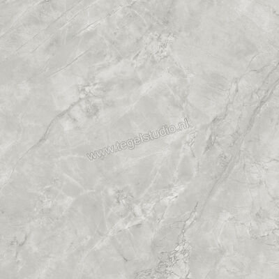  Atlas Concorde Marvel X Grey Cloud 120x120 cm Vloertegel / Wandtegel Mat Vlak Silk AFVM | 419341