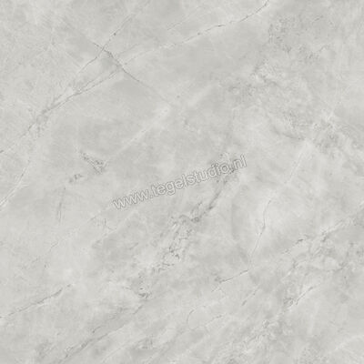  Atlas Concorde Marvel X Grey Cloud 120x120 cm Vloertegel / Wandtegel Mat Vlak Silk AFVM | 419347