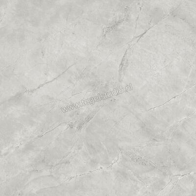  Atlas Concorde Marvel X Grey Cloud 120x120 cm Vloertegel / Wandtegel Mat Vlak Silk AFVM | 419359