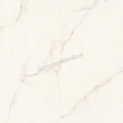 Atlas Concorde Marvel X Calacatta Apuano 120x120 cm Vloertegel / Wandtegel Mat Vlak Silk AFVJ | 419410