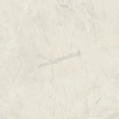  Atlas Concorde Marvel X Calacatta Perla 60x60 cm Vloertegel / Wandtegel Mat Vlak Sensitech AFV5 | 419578