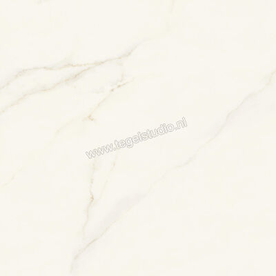  Atlas Concorde Marvel X Calacatta Apuano 120x120 cm Vloertegel / Wandtegel Glanzend Vlak Lappato AFU7 | 419770