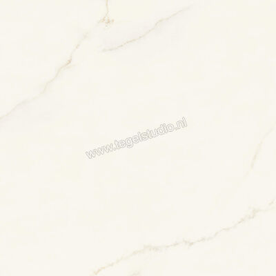  Atlas Concorde Marvel X Calacatta Apuano 120x120 cm Vloertegel / Wandtegel Glanzend Vlak Lappato AFU7 | 419773