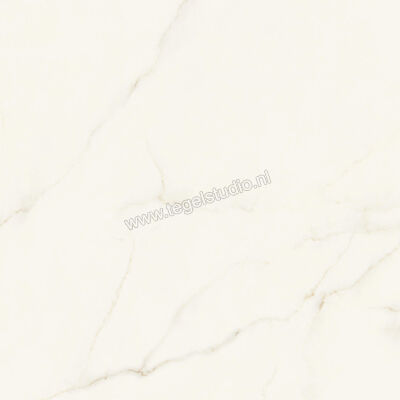  Atlas Concorde Marvel X Calacatta Apuano 120x120 cm Vloertegel / Wandtegel Glanzend Vlak Lappato AFU7 | 419776