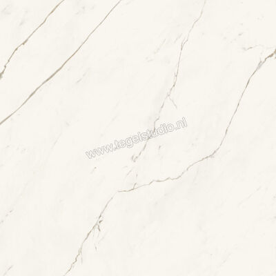  Atlas Concorde Marvel X Calacatta Sublime 120x120 cm Vloertegel / Wandtegel Glanzend Vlak Lappato A8YT | 420100