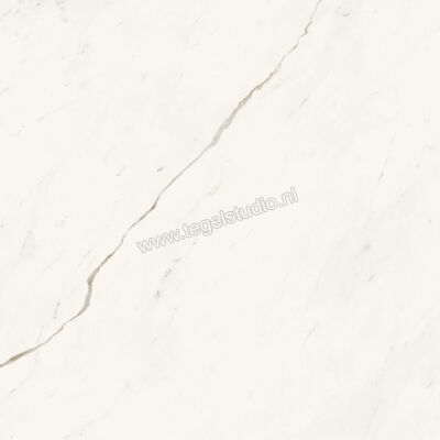  Atlas Concorde Marvel X Calacatta Sublime 120x120 cm Vloertegel / Wandtegel Glanzend Vlak Lappato A8YT | 420103