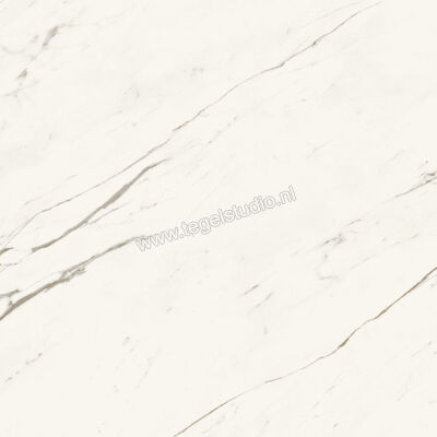  Atlas Concorde Marvel X Calacatta Sublime 120x120 cm Vloertegel / Wandtegel Glanzend Vlak Lappato A8YT | 420112