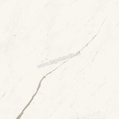  Atlas Concorde Marvel X Calacatta Sublime 120x120 cm Vloertegel / Wandtegel Glanzend Vlak Lappato A8YT | 420115