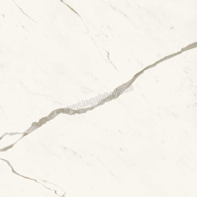  Atlas Concorde Marvel X Calacatta Sublime 120x120 cm Vloertegel / Wandtegel Glanzend Vlak Lappato A8YT | 420118
