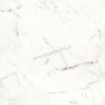 Atlas Concorde Marvel Shine Statuario Supremo 60x60 cm Vloertegel / Wandtegel Mat Vlak Silk A5TE | 420220