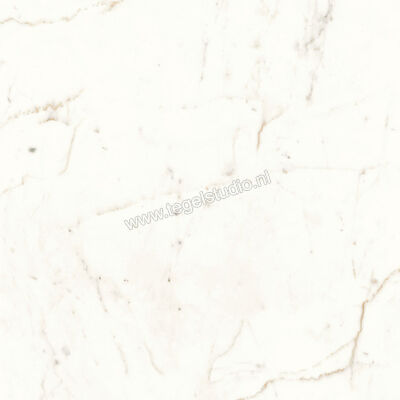  Atlas Concorde Marvel Shine Calacatta Prestigio 60x60 cm Vloertegel / Wandtegel Mat Vlak Silk A5TD | 420238