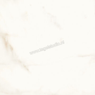  Atlas Concorde Marvel Shine Calacatta Delicato 60x60 cm Vloertegel / Wandtegel Mat Vlak Silk A5TC | 420244
