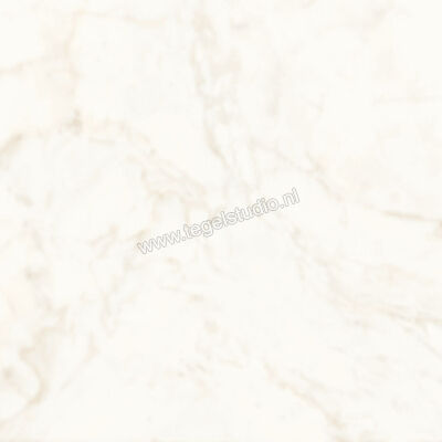  Atlas Concorde Marvel Shine Calacatta Delicato 60x60 cm Vloertegel / Wandtegel Mat Vlak Silk A5TC | 420247