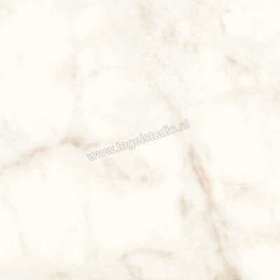  Atlas Concorde Marvel Shine Calacatta Delicato 60x60 cm Vloertegel / Wandtegel Mat Vlak Silk A5TC | 420250