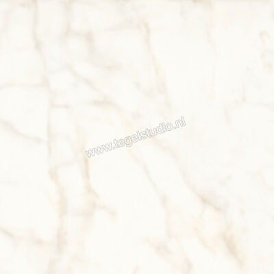  Atlas Concorde Marvel Shine Calacatta Delicato 60x60 cm Vloertegel / Wandtegel Mat Vlak Silk A5TC | 420253