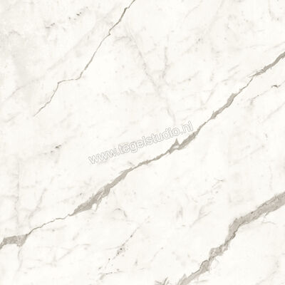  Atlas Concorde Marvel Shine Statuario Supremo 120x120 cm Vloertegel / Wandtegel Glanzend Vlak Lappato A4RA | 420565