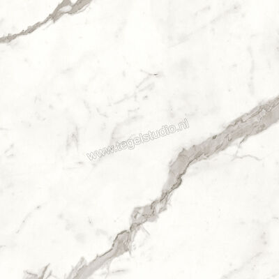  Atlas Concorde Marvel Shine Statuario Supremo 60x60 cm Vloertegel / Wandtegel Glanzend Vlak Lappato A4QU | 420643