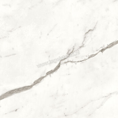  Atlas Concorde Marvel Shine Statuario Supremo 60x60 cm Vloertegel / Wandtegel Glanzend Vlak Lappato A4QU | 420649