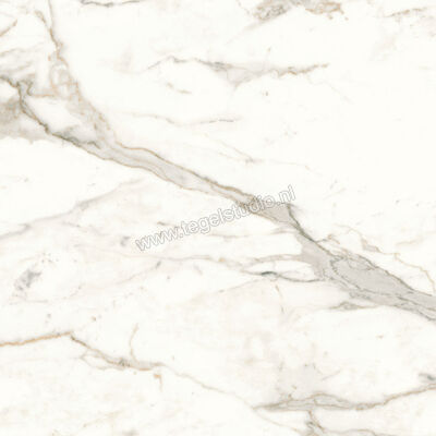  Atlas Concorde Marvel Shine Calacatta Prestigio 60x60 cm Vloertegel / Wandtegel Glanzend Vlak Lappato A4QT | 420658
