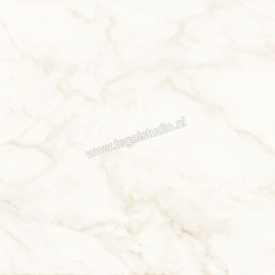  Atlas Concorde Marvel Shine Calacatta Delicato 60x60 cm Vloertegel / Wandtegel Glanzend Vlak Lappato A4QS | 420673