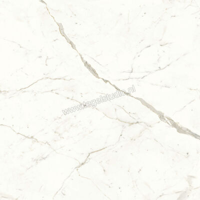  Atlas Concorde Marvel Shine Calacatta Prestigio 120x120 cm Vloertegel / Wandtegel Glanzend Vlak Lappato A4Q9 | 420748