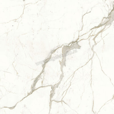  Atlas Concorde Marvel Shine Calacatta Prestigio 120x120 cm Vloertegel / Wandtegel Glanzend Vlak Lappato A4Q9 | 420751