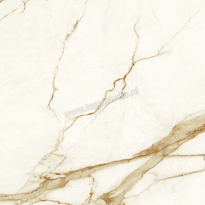  Atlas Concorde Marvel Shine Calacatta Imperiale 120x120 cm Vloertegel / Wandtegel Mat Vlak Sensitech A4Q7 | 420796