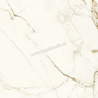  Atlas Concorde Marvel Shine Calacatta Imperiale 120x120 cm Vloertegel / Wandtegel Mat Vlak Sensitech A4Q7 | 420799