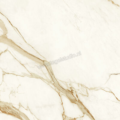  Atlas Concorde Marvel Shine Calacatta Imperiale 120x120 cm Vloertegel / Wandtegel Mat Vlak Sensitech A4Q7 | 420802