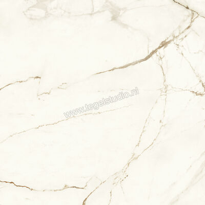  Atlas Concorde Marvel Shine Calacatta Imperiale 120x120 cm Vloertegel / Wandtegel Mat Vlak Sensitech A4Q7 | 420808