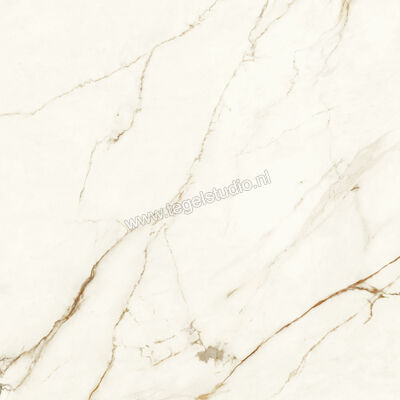  Atlas Concorde Marvel Shine Calacatta Imperiale 120x120 cm Vloertegel / Wandtegel Mat Vlak Sensitech A4Q7 | 420817