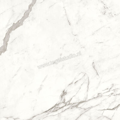  Atlas Concorde Marvel Shine Statuario Supremo 120x120 cm Vloertegel / Wandtegel Mat Vlak Sensitech A4Q6 | 420823