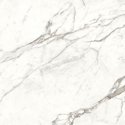  Atlas Concorde Marvel Shine Statuario Supremo 120x120 cm Vloertegel / Wandtegel Mat Vlak Sensitech A4Q6 | 420829