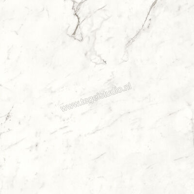  Atlas Concorde Marvel Shine Statuario Supremo 120x120 cm Vloertegel / Wandtegel Mat Vlak Sensitech A4Q6 | 420832