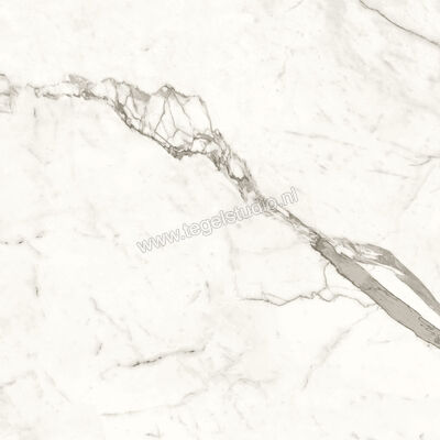 Atlas Concorde Marvel Shine Statuario Supremo 120x120 cm Vloertegel / Wandtegel Mat Vlak Sensitech A4Q6 | 420835