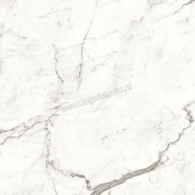  Atlas Concorde Marvel Shine Statuario Supremo 120x120 cm Vloertegel / Wandtegel Mat Vlak Sensitech A4Q6 | 420838
