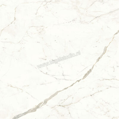  Atlas Concorde Marvel Shine Calacatta Prestigio 120x120 cm Vloertegel / Wandtegel Mat Vlak Sensitech A4Q5 | 420850