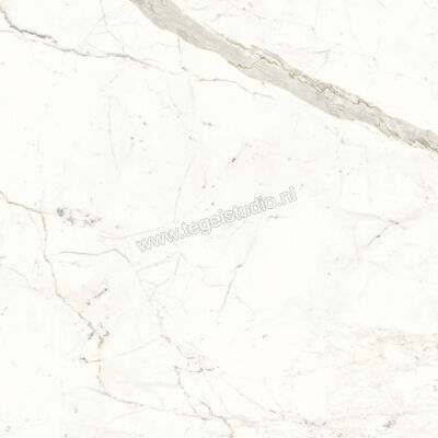  Atlas Concorde Marvel Shine Calacatta Prestigio 120x120 cm Vloertegel / Wandtegel Mat Vlak Sensitech A4Q5 | 420853