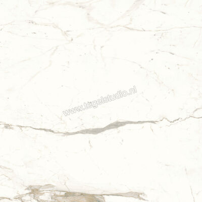  Atlas Concorde Marvel Shine Calacatta Prestigio 120x120 cm Vloertegel / Wandtegel Mat Vlak Sensitech A4Q5 | 420856